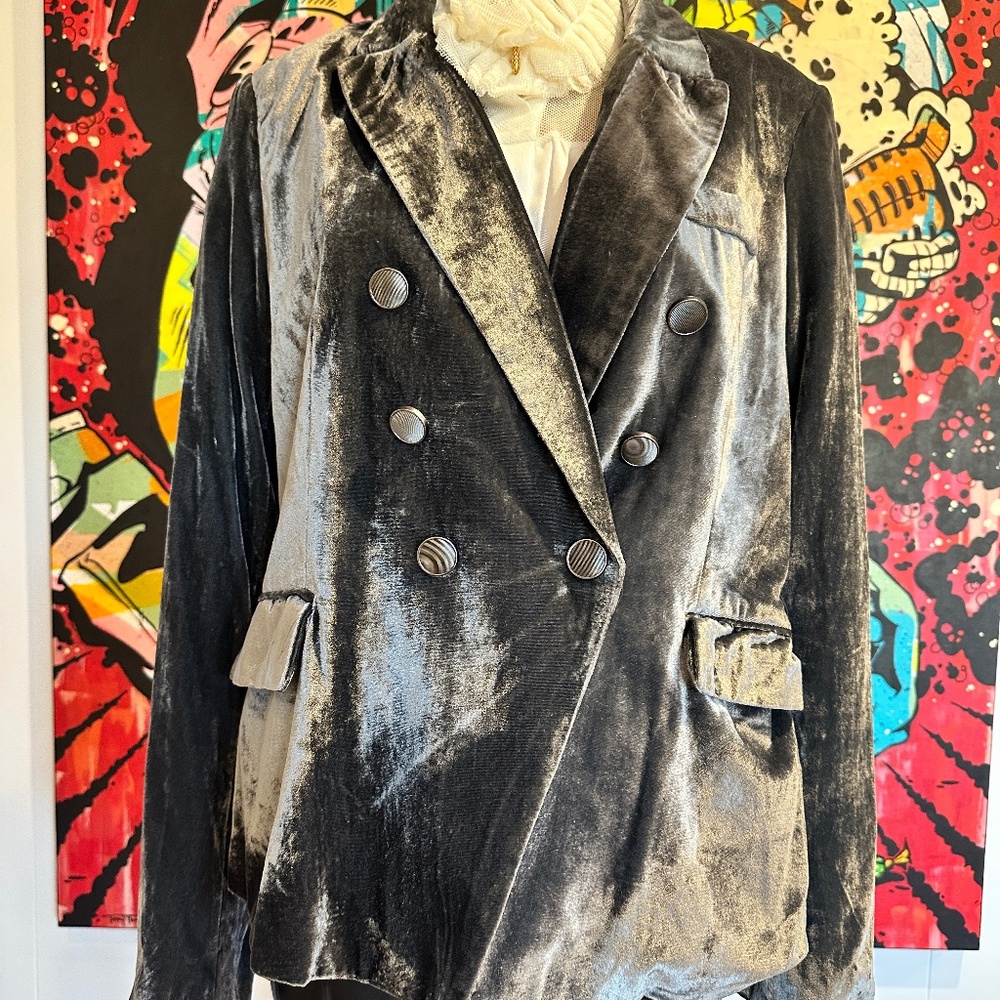 House of Harlow Double Breasted Gray Crushed Velvet Blazer NWT Sz L